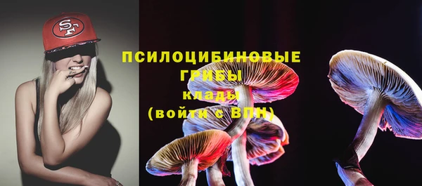 стафф Аркадак