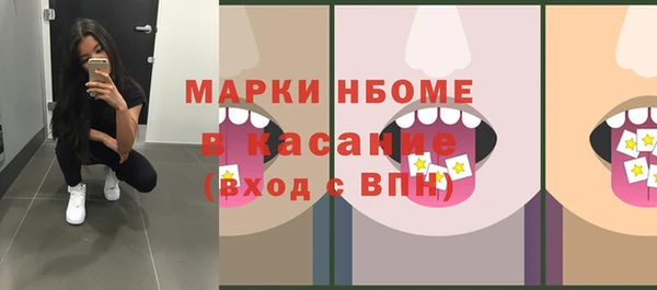 стафф Аркадак
