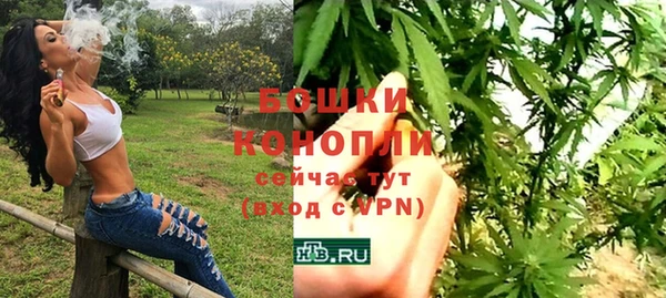 прущие крисы Арсеньев